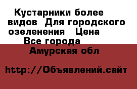 Кустарники более 100 видов. Для городского озеленения › Цена ­ 70 - Все города  »    . Амурская обл.